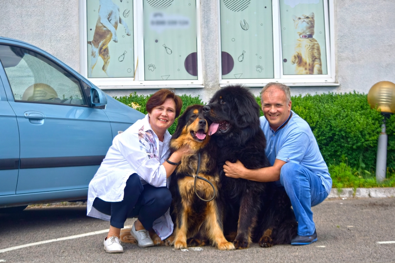 Founders of Boffco Pet with their dogs
